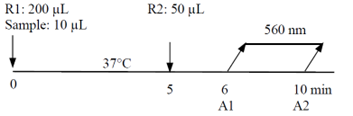 Ferritin Assay graph